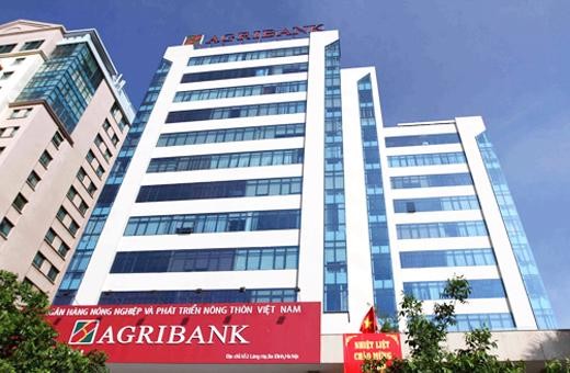 Agribank thu giữ 9 lô đất tại Thủ Đức