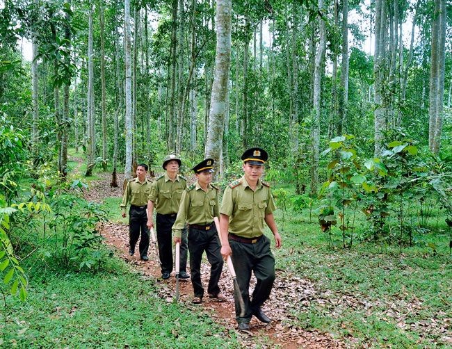 Chuyên trách bảo vệ rừng có phải là nghề độc hại, nguy hiểm?