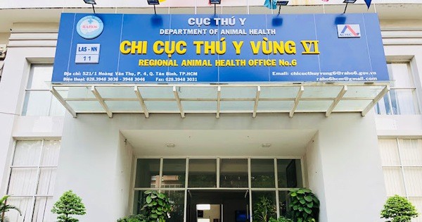 Khởi tố vụ án hình sự "Buôn lậu", "Đưa hối lộ", "Nhận hối lộ" xảy ra tại Công ty Hoàng Sa, Chi cục Thú y vùng VI và Trạm kiểm dịch động vật cảng - bưu điện