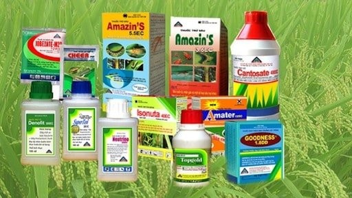 Điều kiện đưa thuốc bảo vệ thực vật ra thị trường