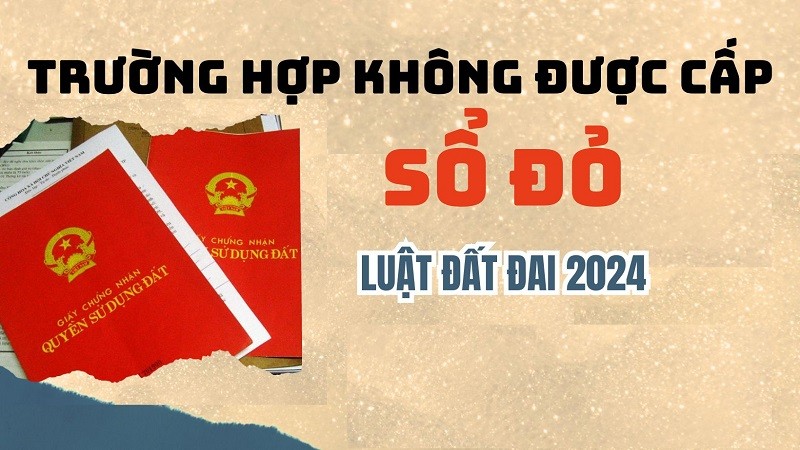 truong-hop-khong-duoc-cap-so-do-pld-1709736380.jpg