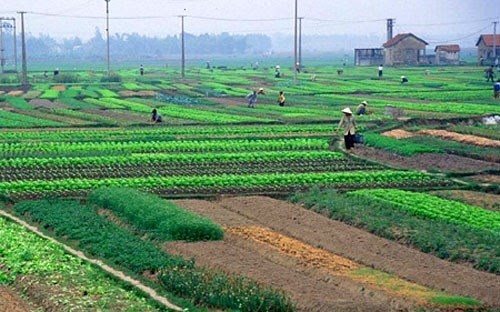 Hỗ trợ giải quyết việc làm, đào tạo nghề cho người có đất thu hồi