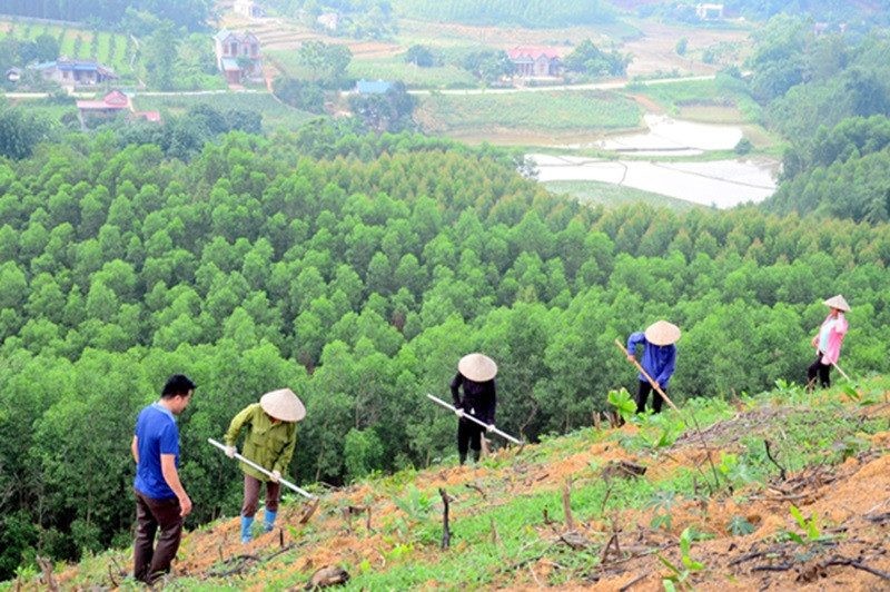 Phát triển thị trường carbon: Cơ chế, chính sách vẫn “chậm” và “thiếu”