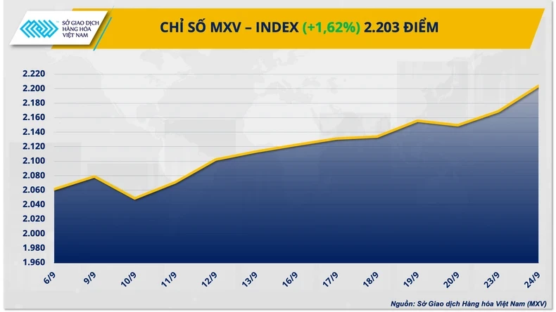 mxvindex-3710png-1727249392.webp