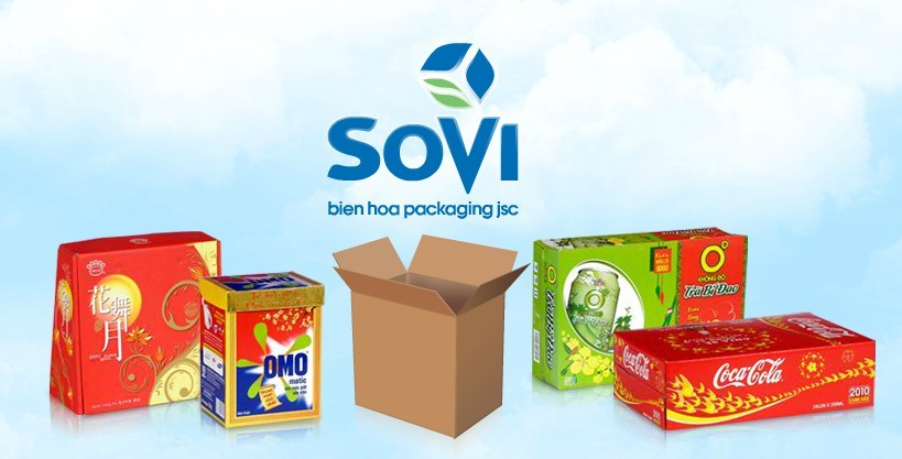 Bao bì Biên Hòa bị phạt 620 triệu đồng, buộc phải di dời