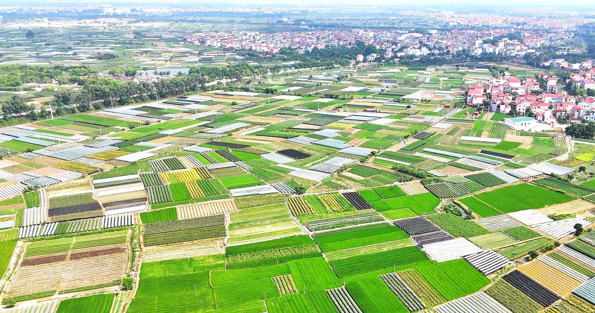 Hà Nội giao hơn 500m2 đất tại Mê Linh cho dự án Khu nhà ở Tiến Phong