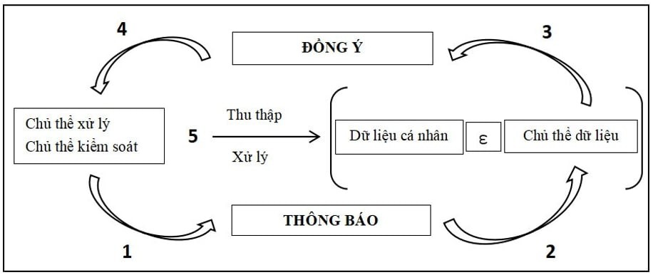 xko2-1123-1756104361.jpg