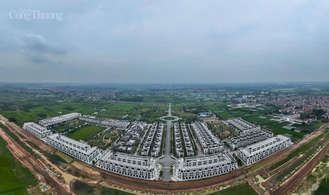 thanh-lam-dai-thinh-2-1778137279.webp