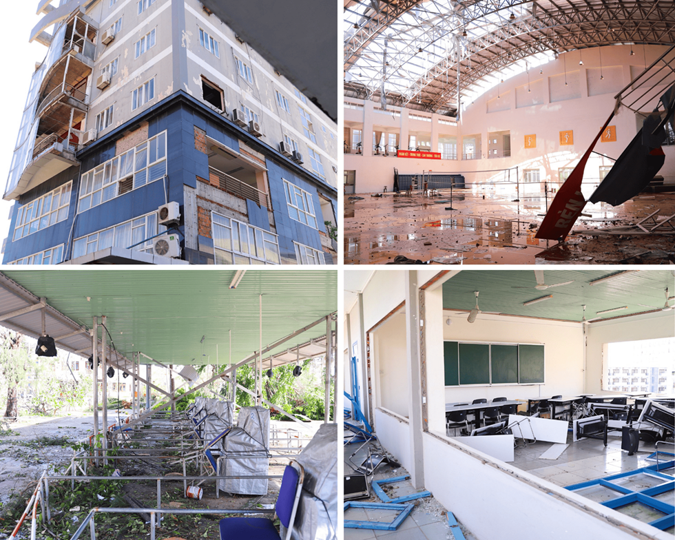 truong-dai-hoc-quy-nhon-pld-1780916806.png