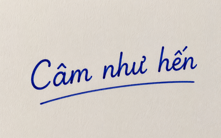 cam-nhu-hen-1784625924.png