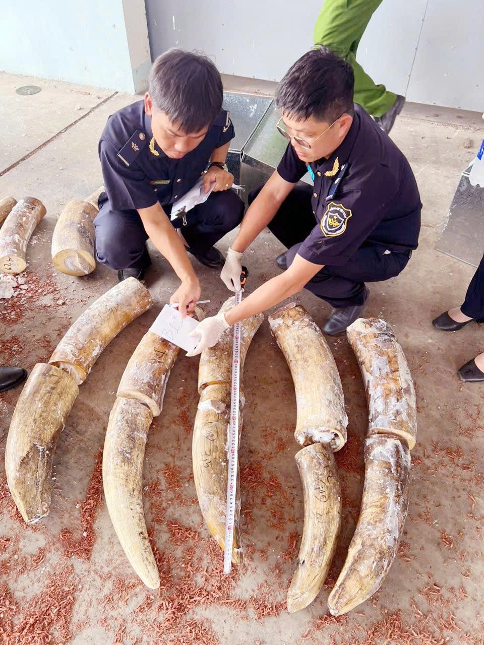 anh-8-1786589543.jpg