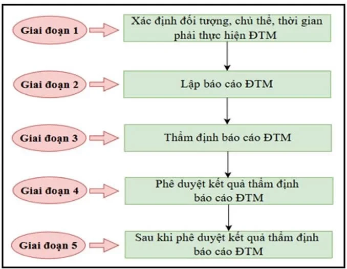 1788506665978-2086554519441442619-1306716279050559469-25fc01ca5c982e971ad4a8b5327631a2-1424-1788920927.webp
