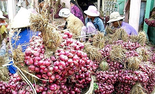 Sau vụ mì Hảo Hảo bị thu hồi, Đồng bằng Sông Cửu Long đang ùn ứ rau gia vị