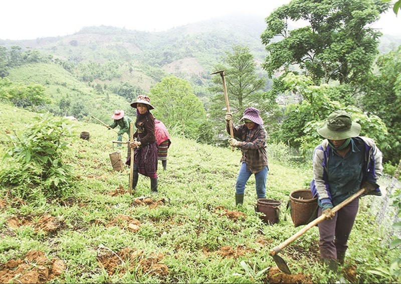 Đề xuất sửa đổi, bổ sung về giao đất, cho thuê đất