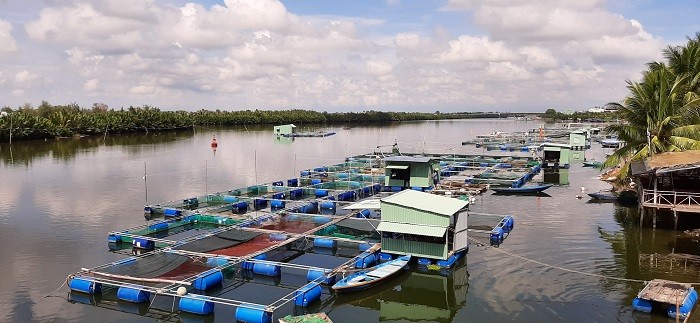 Chủ động ứng phó, hạn chế thiệt hại cho ngành thủy sản trong mùa mưa lũ