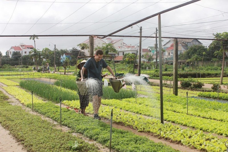 Quảng Nam: Thu hút khách du lịch bằng bộ tiêu chí Du lịch xanh