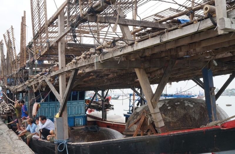 Quảng Nam tăng tốc chống khai thác IUU, sẵn sàng đón Đoàn thanh tra EC lần thứ 5