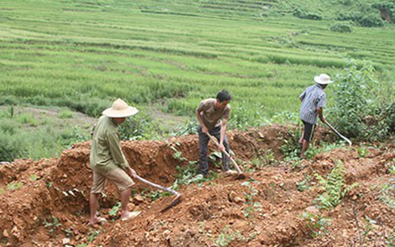 Có được điều chỉnh diện tích đất ở đã cấp trên Giấy chứng nhận?
