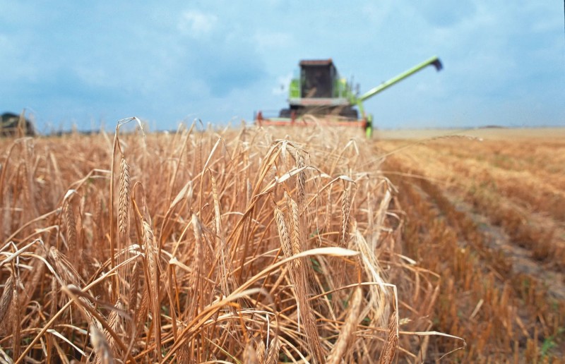 Áp lực từ năng lượng và xung đột Trung Đông