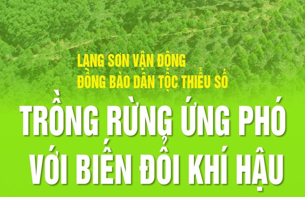 Infographic: Lạng Sơn vận động đồng bào DTTS trồng rừng ứng phó với BĐKH