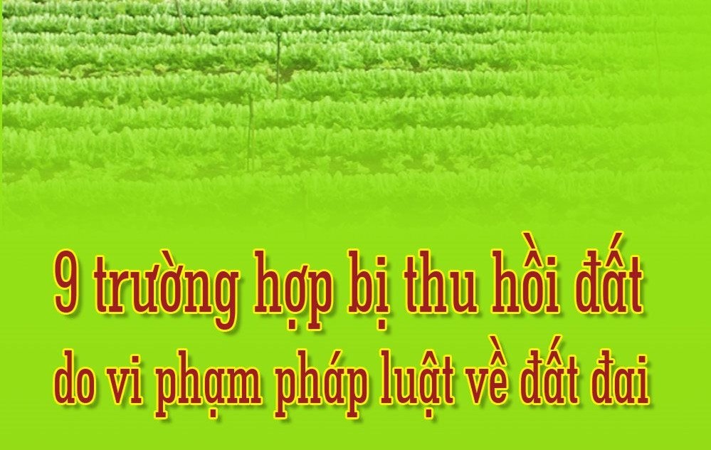 Inforgraphic: 9 trường hợp bị thu hồi đất do vi phạm pháp luật về đất đai