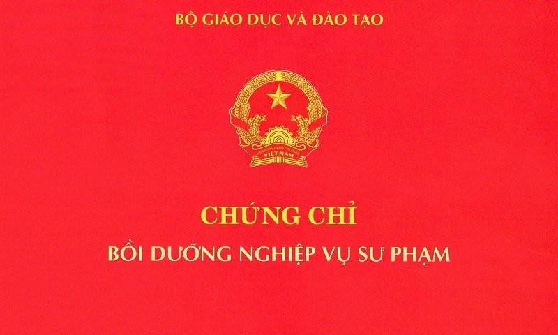 Quản lý chặt chẽ phôi chứng chỉ nghiệp vụ sư phạm