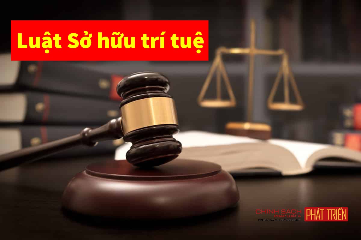 Sửa đổi Luật Sở hữu trí tuệ: Trên đường về đích