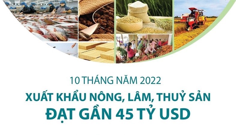 10 tháng năm 2022: Xuất khẩu nông, lâm, thủy sản đạt gần 45 tỷ USD