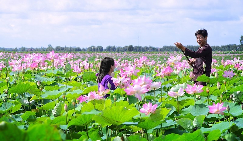 Quy hoạch tỉnh Đồng Tháp thời kỳ 2021 - 2030, tầm nhìn đến năm 2050