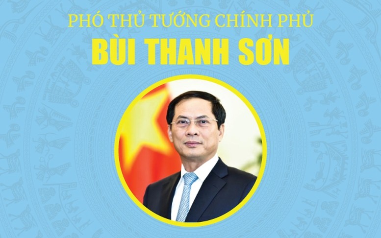 INFOGRAPHICS: Tóm tắt tiểu sử Tân Phó Thủ tướng Chính phủ Bùi Thanh Sơn