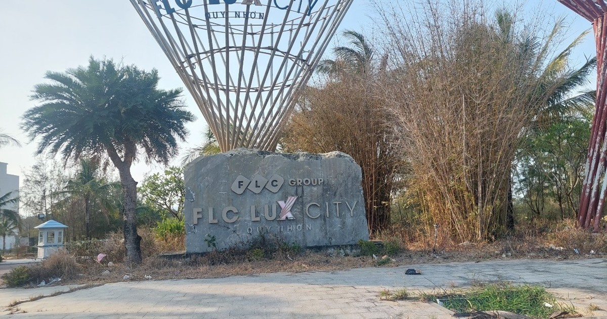 Rà soát toàn bộ hồ sơ thủ tục, pháp lý của dự án Khu đô thị chức năng FLC Lux City Quy Nhơn