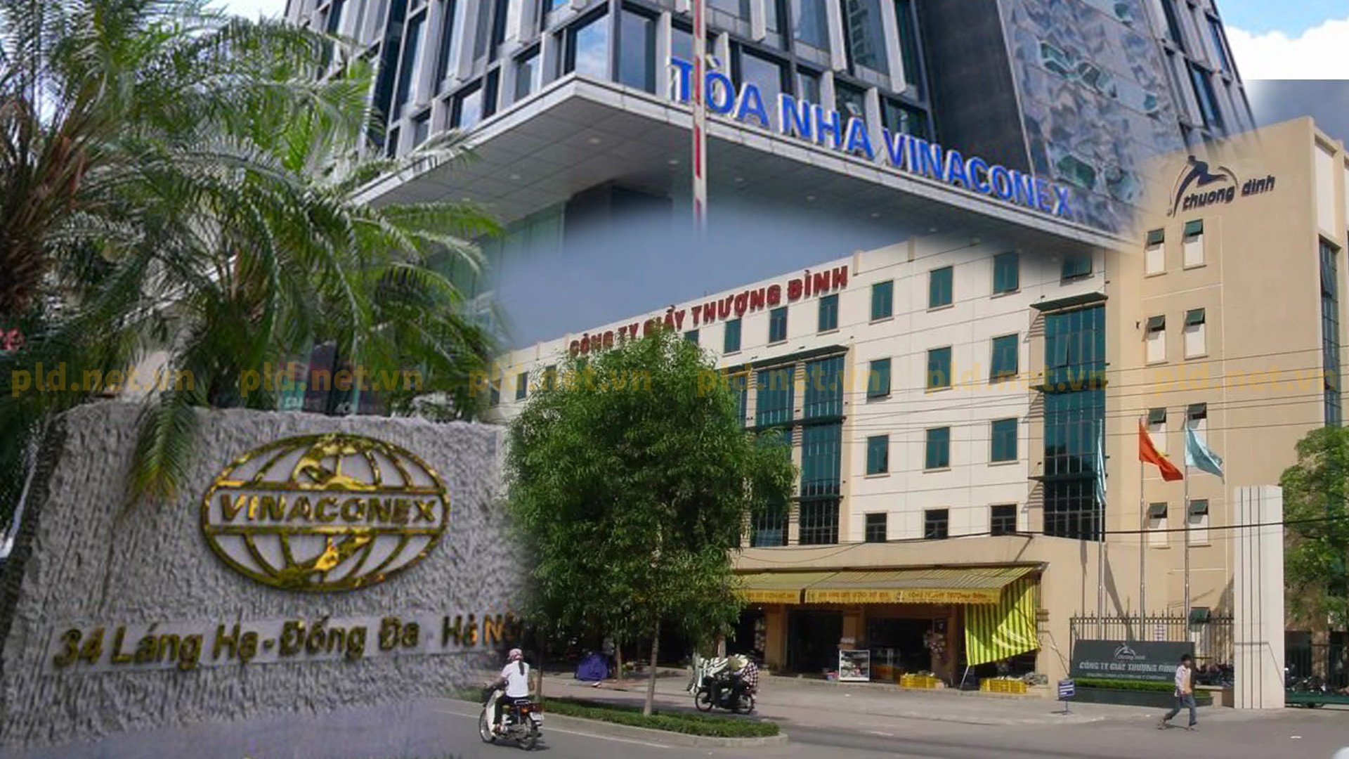 Vinaconex có kế hoạch mua gần 1/4 cổ phần Giầy Thượng Đình, doanh nghiệp sở hữu “đất vàng” làm dự án lớn ở Hà Nội