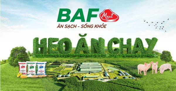 Dòng tiền âm, nợ vay tăng hơn 1.000 tỷ đồng sau một quý: Điều gì đang diễn ra tại BAF Việt Nam?