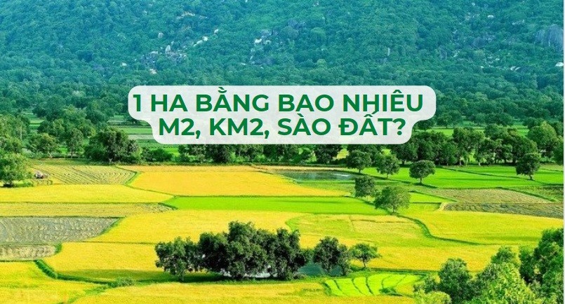 1 hecta bằng bao nhiêu m2, km2, sào đất?