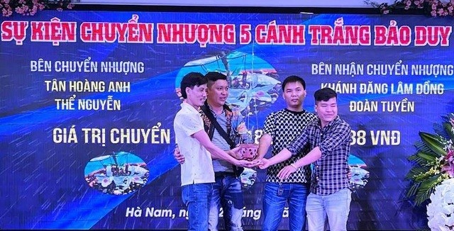 Những “cơn sốt” và tâm lý đám đông trong đầu tư kinh tế tại Việt Nam