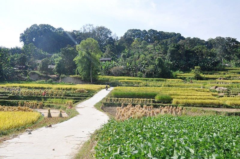 Vốn ngân hàng tiếp tục tới lĩnh vực ưu tiên, "bỏ qua" bất động sản, chứng khoán
