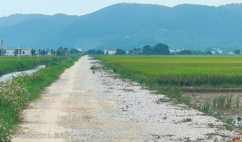 Hà Trung (Thanh Hóa): Chưa chuyển mục đích sử dụng đất, vẫn phê duyệt dự án