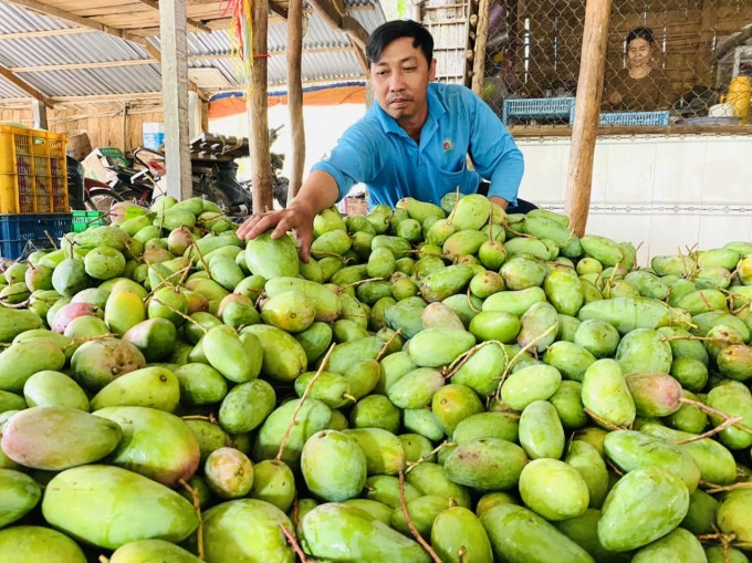 Quản lý thị trường hỗ trợ tiêu thụ nông sản cho vùng dịch