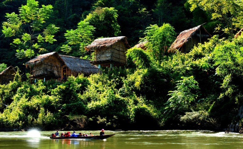 Đoàn kết để hồi sinh các hệ sinh thái