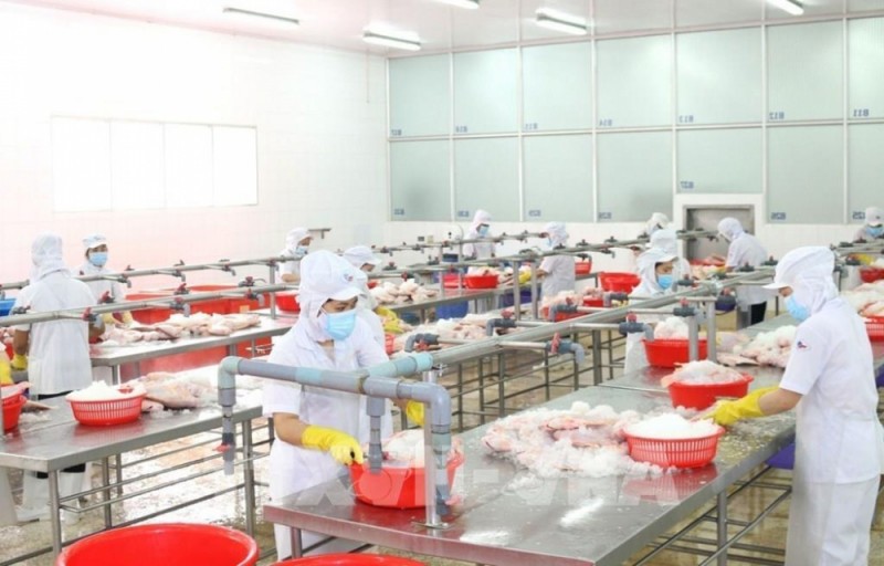 TP HCM: Doanh nghiệp thực hiện “3 tại chỗ”, đảm bảo sản xuất