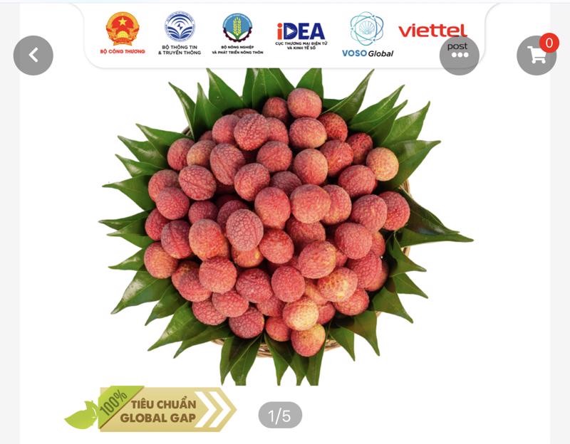 Vượt bão COVID – 19, nông sản Việt lên sàn thương mại điện tử
