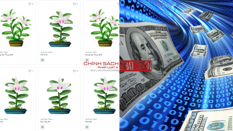 Lan đột biến “lên sàn” tiền mã hóa