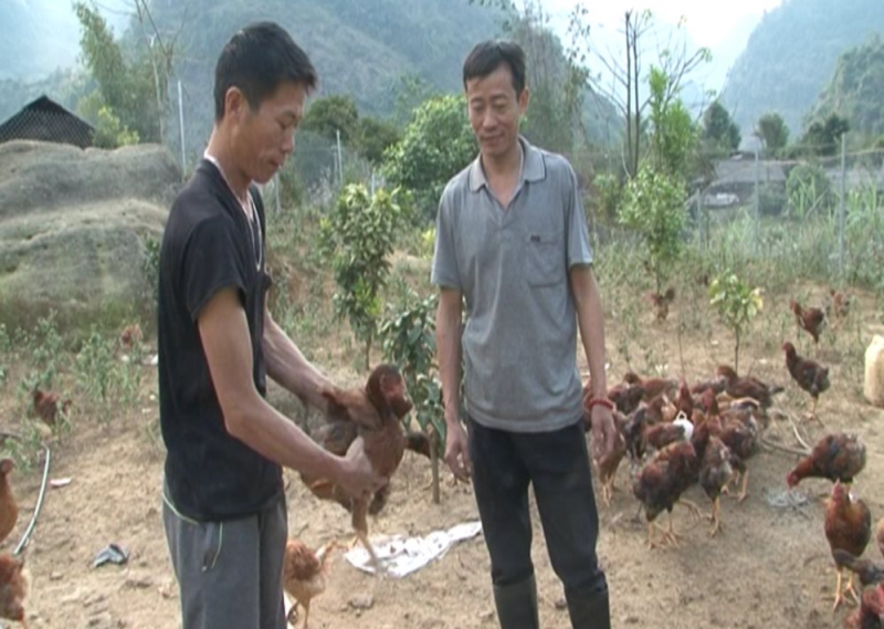 Khoảng cách an toàn trong chăn nuôi là bao nhiêu mét?