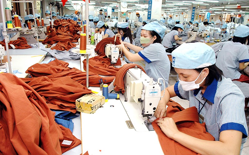 EVFTA: Cầu nối thương mại Việt Nam - EU