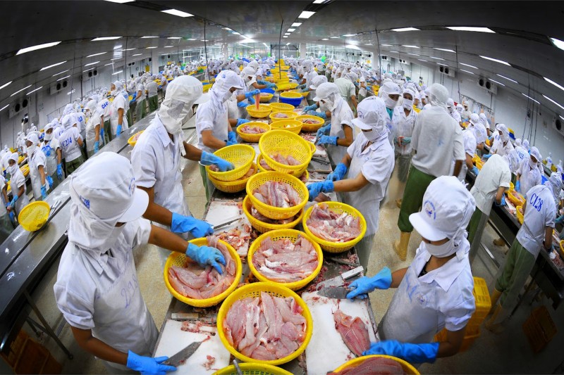 Việt Nam đặt mục tiêu trở thành 5 nước hàng đầu về chế biến thủy sản