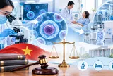 Phân loại pháp lý đối với tế bào gốc trong pháp luật Việt Nam: Từ kỹ thuật lâm sàng đến sản phẩm trị liệu