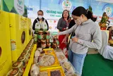 Bảo hộ chỉ dẫn địa lý ở nước ngoài (kỳ 1): Con đường buộc phải đi