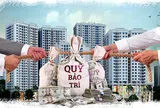 Nhà mới mua đã bắt dân đóng phí bảo trì, chuyên gia kiến nghị gì?