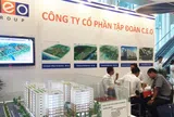 Cổ phiếu giảm từ đỉnh 100.000 đồng xuống 20.000 đồng, đại hội CEO Group lần đầu tiên bất thành vì cổ đông tham dự quá ít
