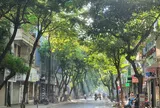 Nhiều khu vực trên cả nước ngày nắng, mưa dông về chiều tối